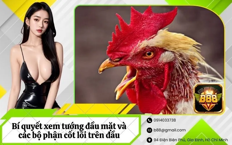 Bí quyết xem tướng đầu mặt và các bộ phận cốt lõi trên đầu