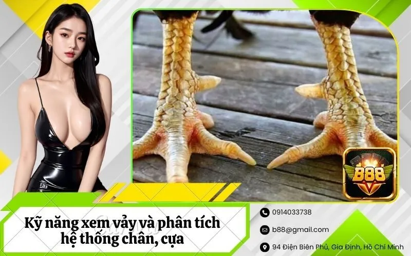 Kỹ năng xem vảy và phân tích hệ thống chân, cựa