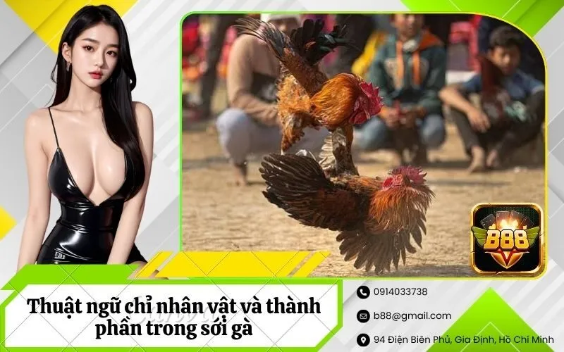 Thuật ngữ chỉ nhân vật và thành phần trong sới gà